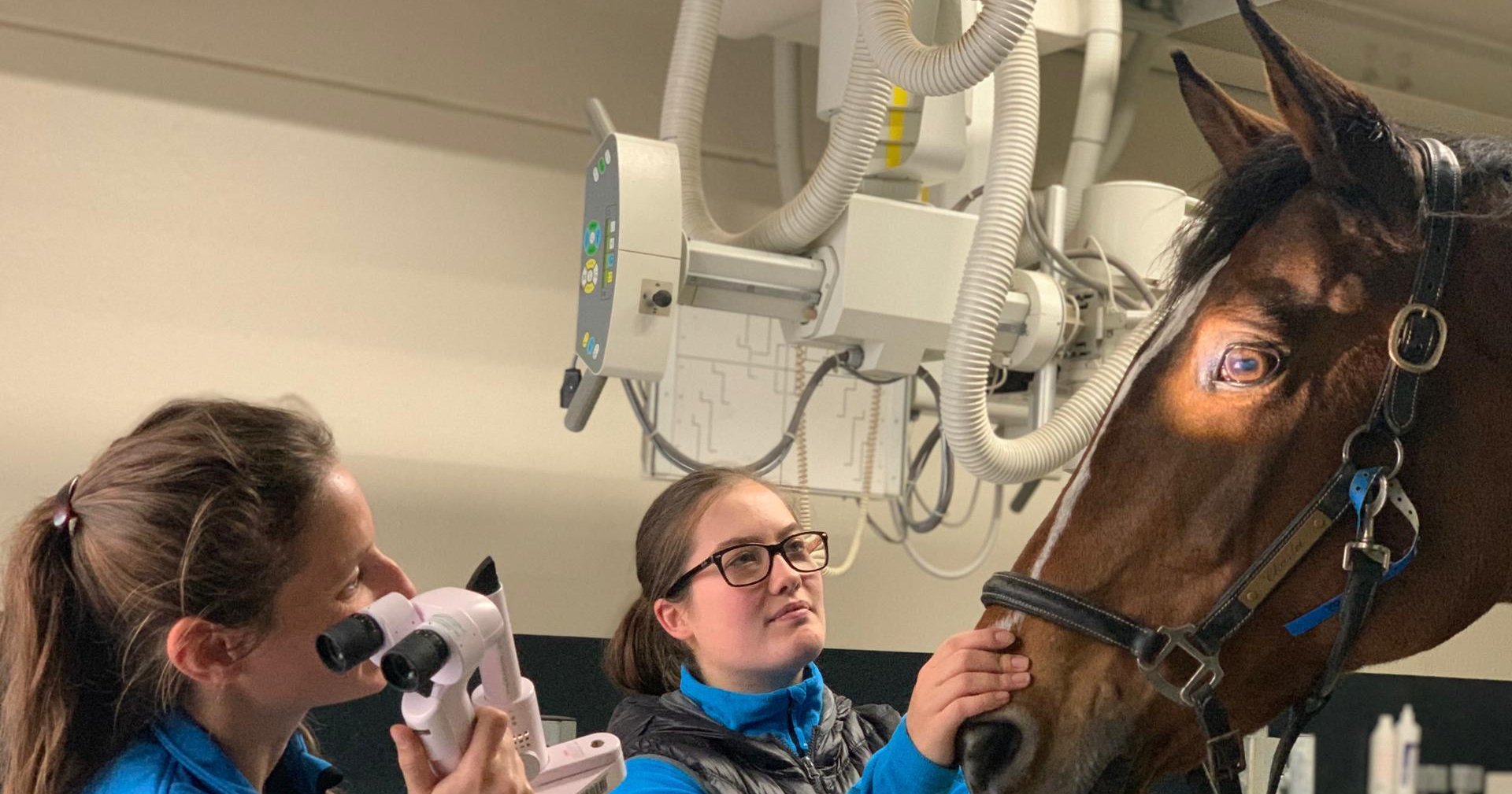 Aurélie Sauvage – Our Team – Equitom Lummen